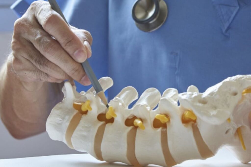 International Spine Observership Program